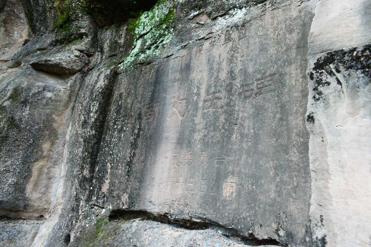 _DSC5993.jpg